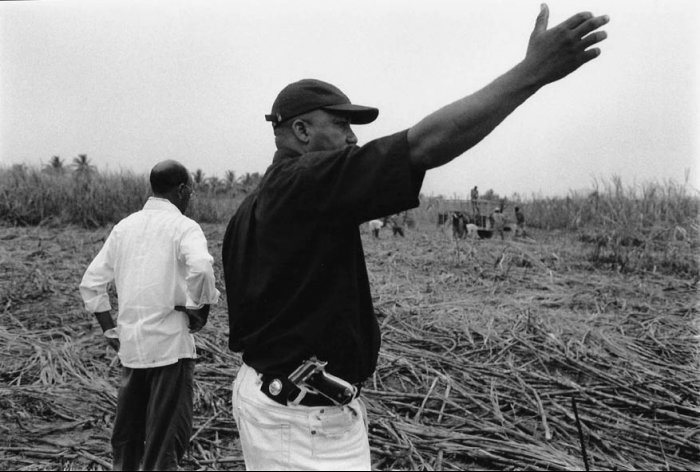 Dominican Republic - Sugar Cane Harvest - Superintendent Ramírez
